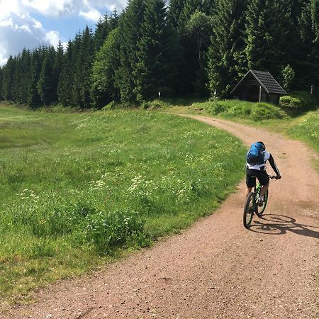 Zur Bergwiese 5 Sterne Appartementhaus Furstenau  外观 照片