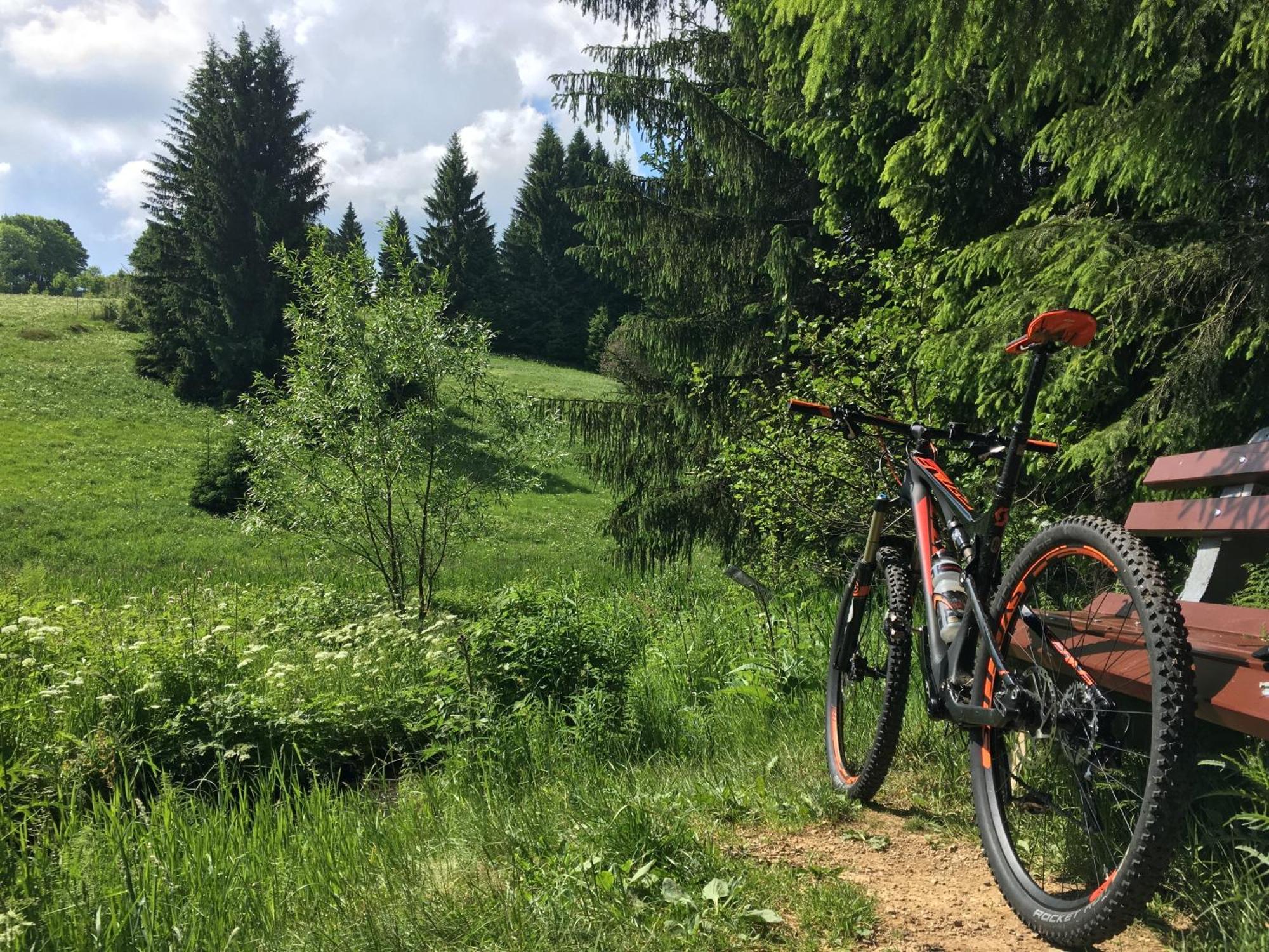 Zur Bergwiese 5 Sterne Appartementhaus Furstenau  客房 照片